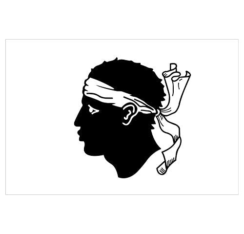 Panneau Rigide Format 15x10cm Drapeau de département région française Corse épaisseur 3mm