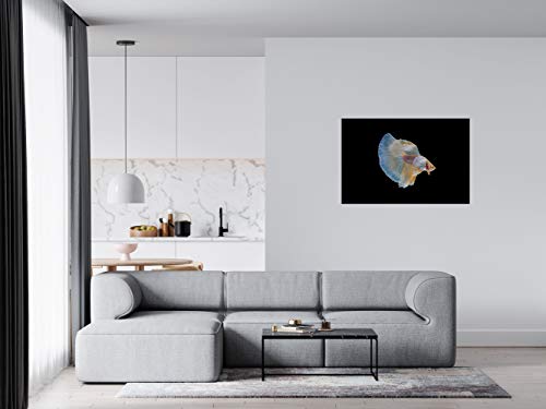 Panorama Alu 60x40cm - Tableau Décoration Murale - Accroche Facile - Photo Image Artistique Photographie