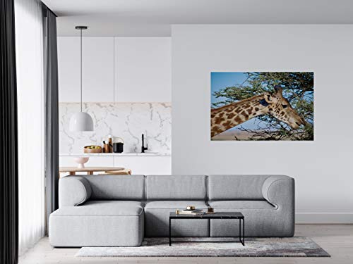 Panorama Alu 60x40cm - Tableau Décoration Murale - Accroche Facile - Photo Image Artistique Photographie