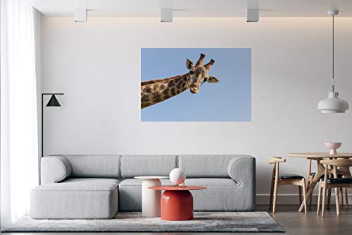 Panorama Alu 60x40cm - Tableau Décoration Murale - Accroche Facile - Photo Image Artistique Photographie