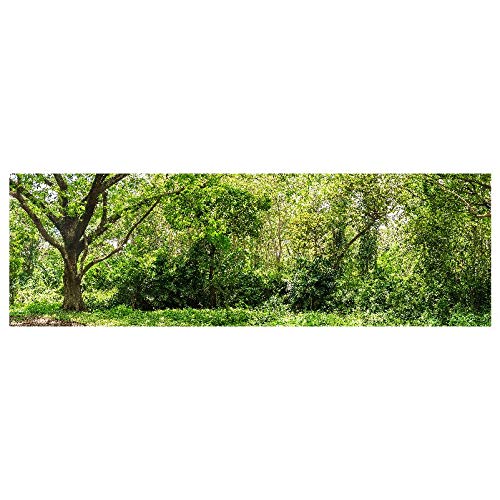 Panorama Alu 60x40cm - Tableau Décoration Murale - Accroche Facile - Photo Image Artistique Photographie