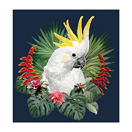 Panorama Alu 60x60cm - Tableau Décoration Murale - Accroche Facile - Photo Image Artistique Photographie