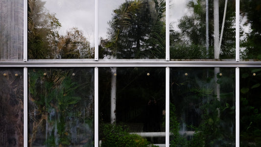 Grande baie vitrée d'une maison reflétant les arbres du jardin en pleine lumière