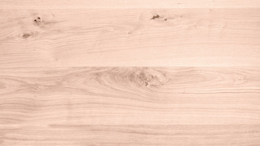 Planche de chêne brut poncée sur un établi, veinage et pores du bois bien visibles