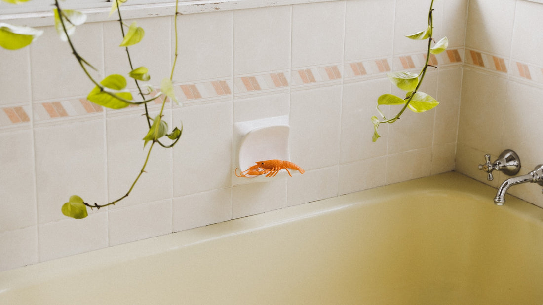 Fond de baignoire équipé de bandes antidérapantes adhésives dans une salle de bain claire