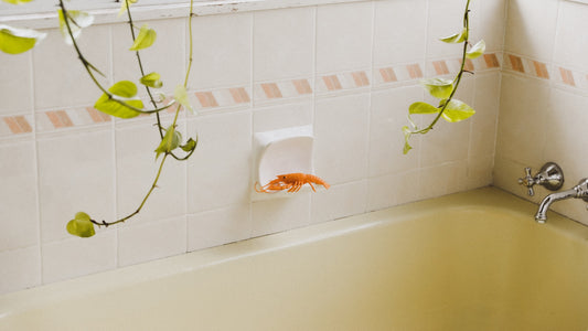 Fond de baignoire équipé de bandes antidérapantes adhésives dans une salle de bain claire
