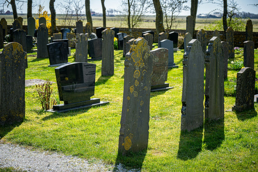 Cimetière paisible baigné de lumière, rangées de pierres tombales anciennes sur une pelouse, aucune inscription lisible