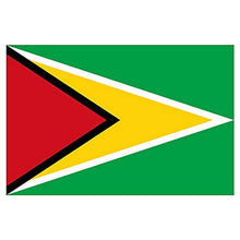 Panneau Rigide Format 18x12cmdrapeau de Pays Nation guyane épaisseur 3mm
