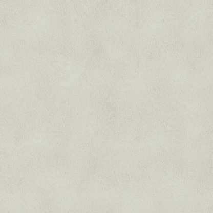 Papier Peint Feuilles de Palmier Blanches Texture Grunge