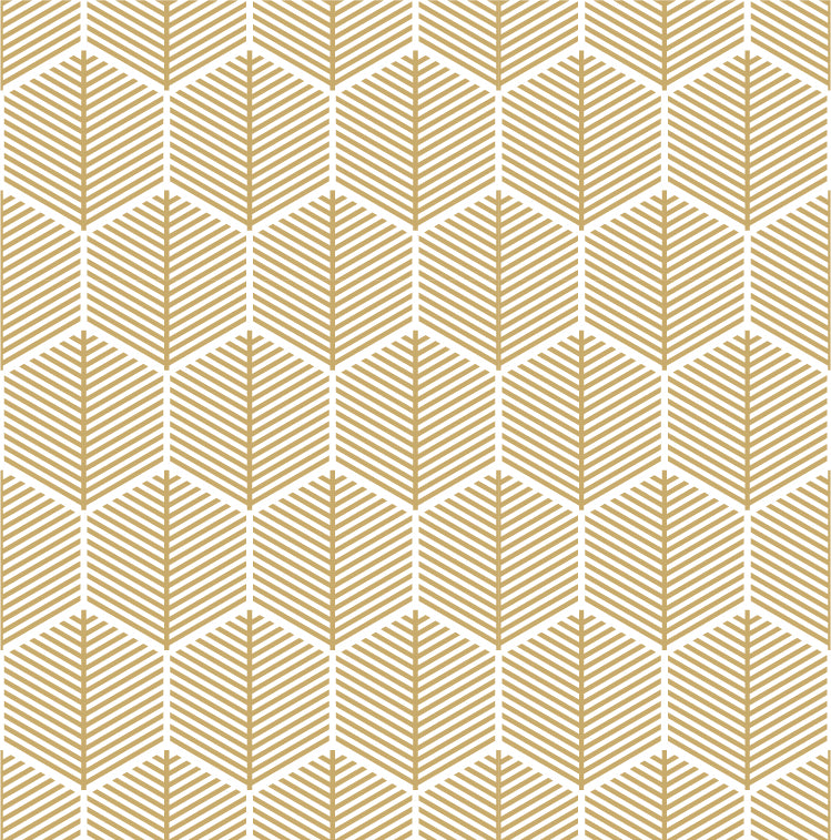 ADHÉSIF CARRELAGE - DÉCORATION DE CARREAUX CIMENT - MOSAÏQUE CARREAU HEXAGONAL