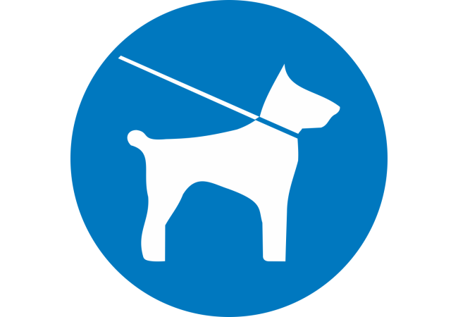 Sticker Obligation Chien en Laisse – Signalétique