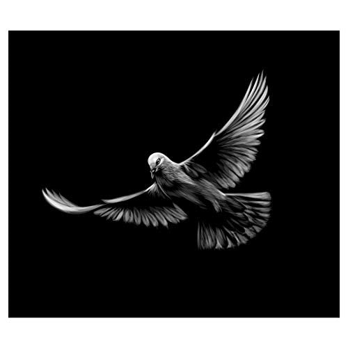 Panorama Alu 40x40cm - Tableau Décoration Murale - Accroche Facile - Photo Image Artistique Photographie