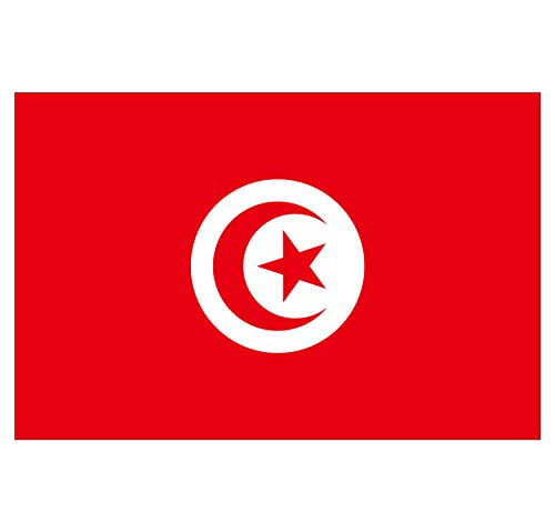 Supstick Lot de 8 Autocollants Stickers Drapeau de Pays Nation Tunisie Format 3x2cm