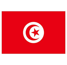 Supstick Lot de 8 Autocollants Stickers Drapeau de Pays Nation Tunisie Format 3x2cm