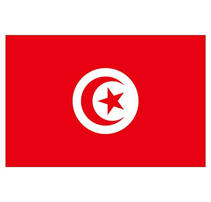Panneau Rigide Format 18x12cm Drapeau de Pays Nation Tunisie épaisseur 3mm