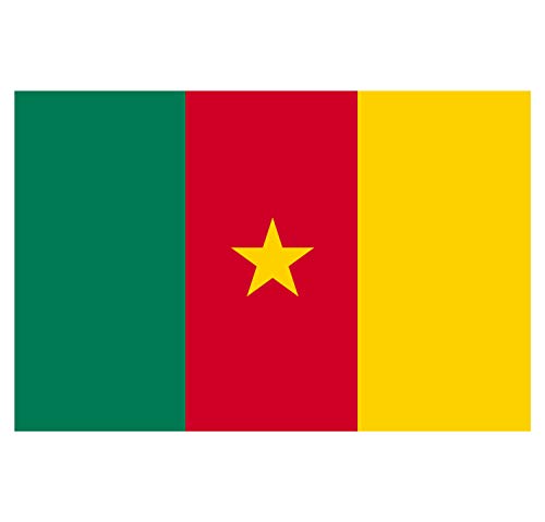 Supstick Lot de 8 Autocollants Stickers Drapeau de Pays Nation Cameroun Format 3x2cm