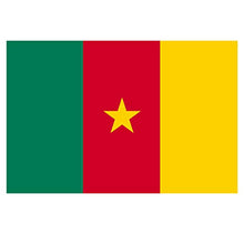 Supstick Lot de 8 Autocollants Stickers Drapeau de Pays Nation Cameroun Format 3x2cm