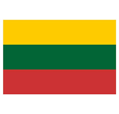 Panneau Rigide Format 18x12cm Drapeau de Pays Nation Lituanie épaisseur 3mm