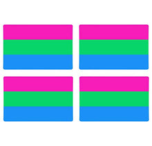 Supstick Drapeau Polisexuel Lot de 4 Format 6X4CM