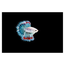 Panorama Alu 60x90cm - Tableau Décoration Murale - Accroche Facile - Photo Image Artistique Photographie