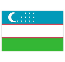 Supstick Lot de 8 Autocollants Stickers Drapeau de Pays Nation ouzbekistan Format 3x2cm