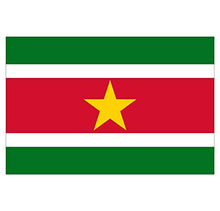 Panneau Rigide Format 18x12cm Drapeau de Pays Nation Suriname épaisseur 3mm