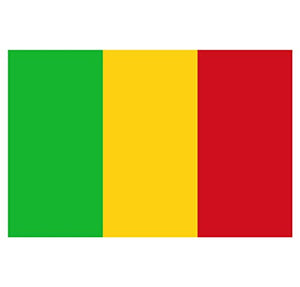 Supstick Lot de 8 Autocollants Stickers Drapeau de Pays Nation Mali Format 3x2cm