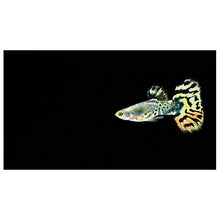 Panorama Alu 60x90cm - Tableau Décoration Murale - Accroche Facile - Photo Image Artistique Photographie