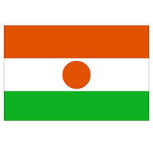 Supstick Lot de 8 Autocollants Stickers Drapeau de Pays Nation Niger Format 3x2cm