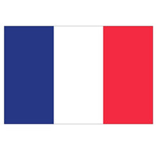 Supstick Lot de 8 Autocollants Stickers Drapeau de Pays Nation France Format 3x2cm