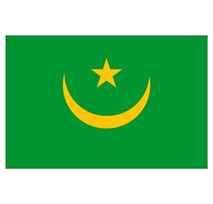 Panneau Rigide Format 18x12cm Drapeau de Pays Nation Mauritanie épaisseur 3mm