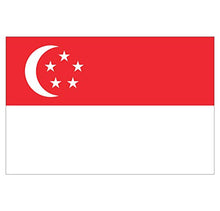 Supstick Lot de 8 Autocollants Stickers Drapeau de Pays Nation singuapour Format 3x2cm