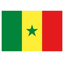 Panneau Rigide Format 18x12cm Drapeau de Pays Nation sénégal épaisseur 3mm