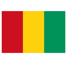 Panneau Rigide Format 18x12cm Drapeau de Pays Nation guinée épaisseur 3mm