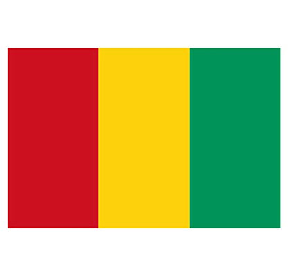 Panneau Rigide Format 18x12cm Drapeau de Pays Nation guinée épaisseur 3mm