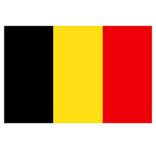 Supstick Lot de 8 Autocollants Stickers Drapeau de Pays Nation Belgique Format 3x2cm