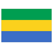 Supstick Lot de 8 Autocollants Stickers Drapeau de Pays Nation Gabon Format 3x2cm