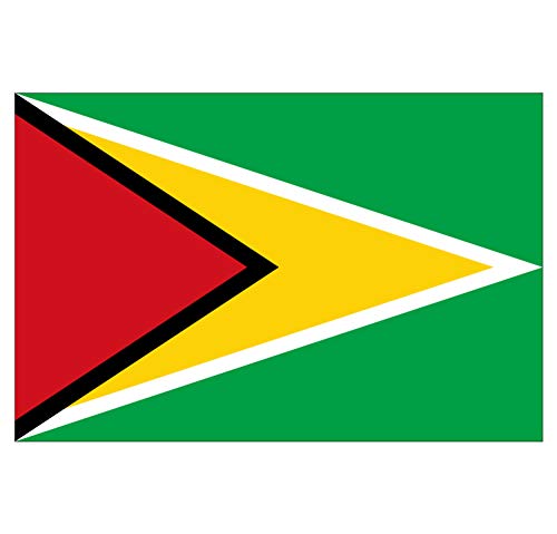 Panneau Rigide Format 18x12cmdrapeau de Pays Nation guyane épaisseur 3mm
