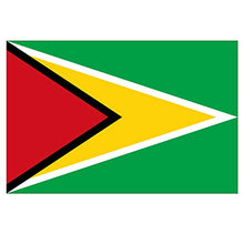 Panneau Rigide Format 18x12cmdrapeau de Pays Nation guyane épaisseur 3mm