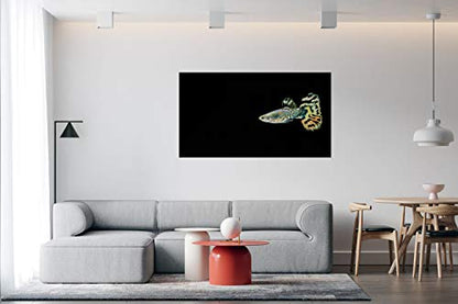 Panorama Alu 60x90cm - Tableau Décoration Murale - Accroche Facile - Photo Image Artistique Photographie