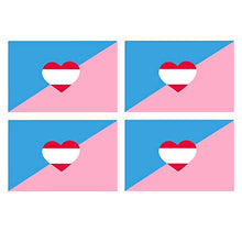 Supstick Drapeau Fetiche de l’âge Lot de 4 Format 12X8CM
