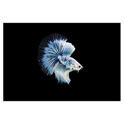 Panorama Alu 60x90cm - Tableau Décoration Murale - Accroche Facile - Photo Image Artistique Photographie