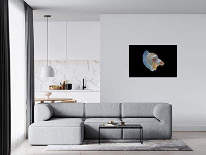 Panorama Alu 60x40cm - Tableau Décoration Murale - Accroche Facile - Photo Image Artistique Photographie