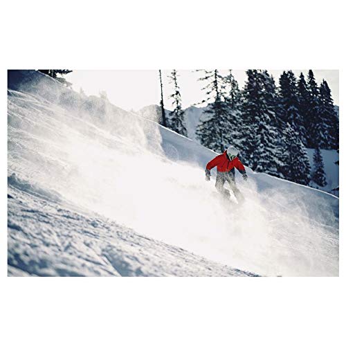 Panorama Alu 60x90cm - Tableau Décoration Murale - Accroche Facile - Photo Image Artistique Photographie