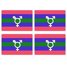Supstick Drapeau Trigenre Lot de 4 Format 6X4CM