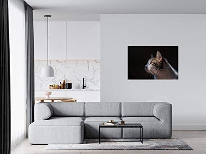 Panorama Alu 60x90cm - Tableau Décoration Murale - Accroche Facile - Photo Image Artistique Photographie