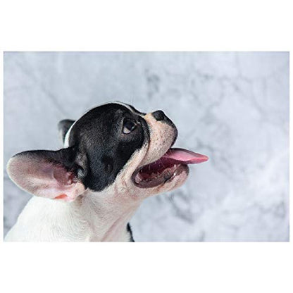 Panorama Alu 60x40cm - Tableau Décoration Murale - Accroche Facile - Photo Image Artistique Photographie