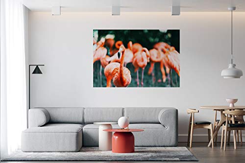 Panorama Alu 60x90cm - Tableau Décoration Murale - Accroche Facile - Photo Image Artistique Photographie