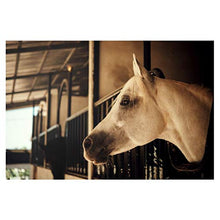 Panorama Alu 60x40cm - Tableau Décoration Murale - Accroche Facile - Photo Image Artistique Photographie