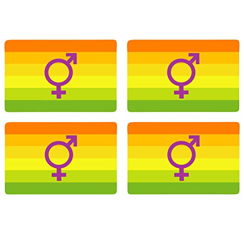 Supstick Drapeau Hermaphrodite Lot de 4 Format 12X8CM
